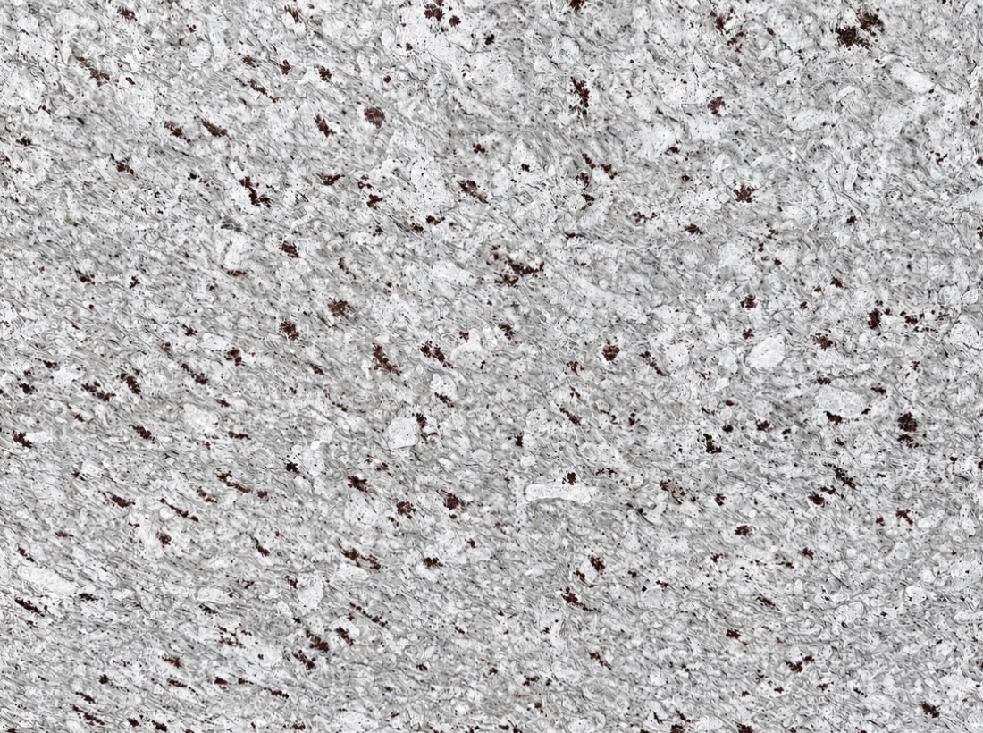 Moon White Granite